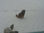 DSC00823.JPG